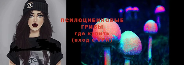 сатива Приозерск