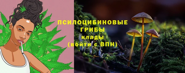 сатива Приозерск