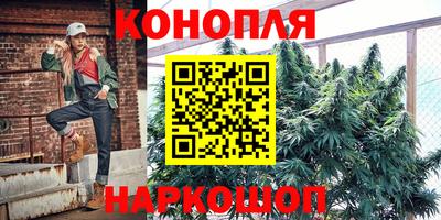 гашик Можга