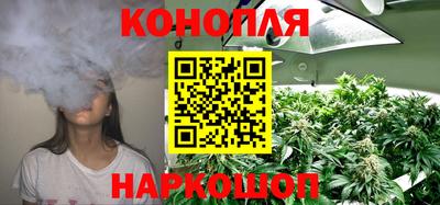 гашик Можга