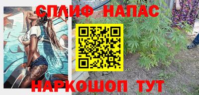 гашик Можга