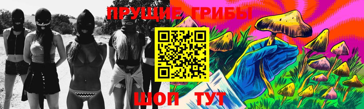 Старая Купавна  Псилоцибиновые грибы мицелий  Вход с VPN 