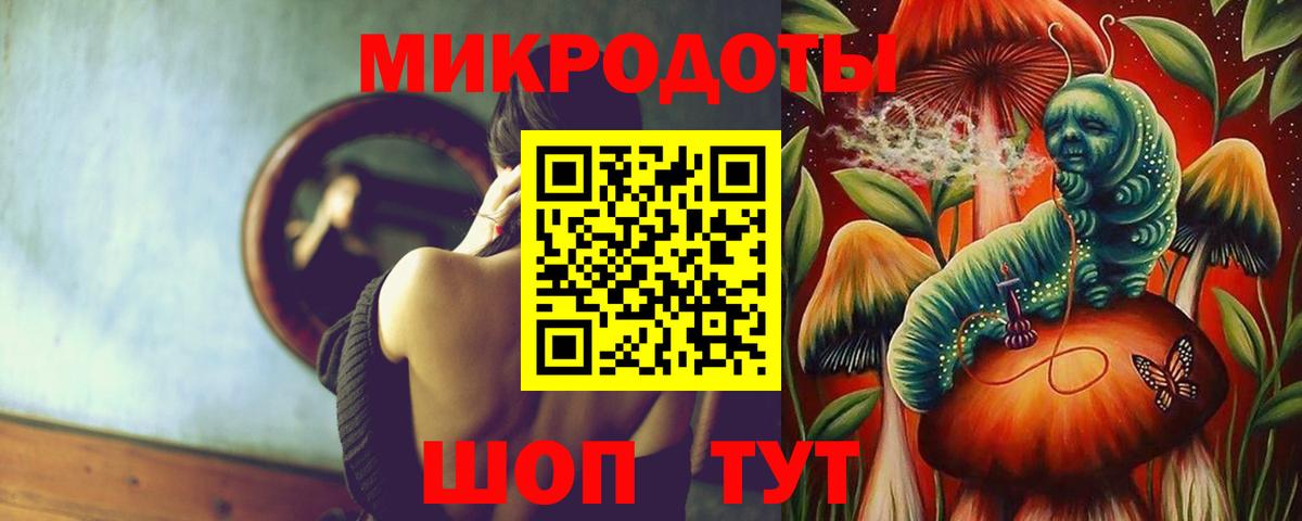 Галлюциногенные грибы Psilocybine cubensis  Старая Купавна  Галлюциногенные грибы Cubensis 